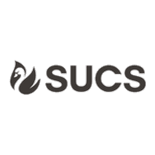 Swansea Consulting Society